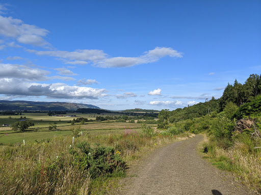 Garshellach Forest - Visual