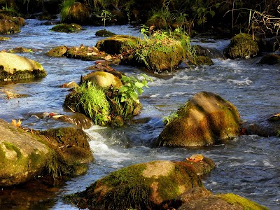 Photos of Duk&scaron;tai educational trail