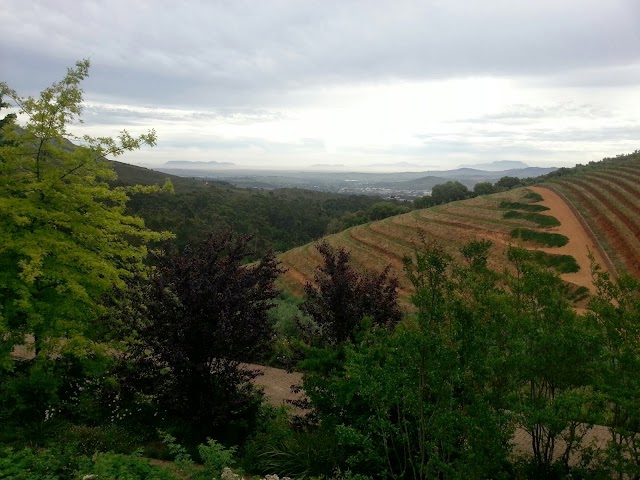 TOKARA Wine Estate