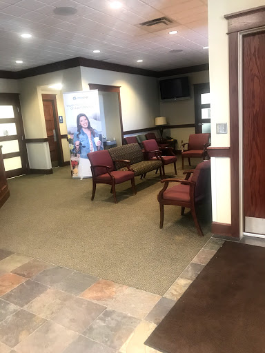 ProDental - Visual