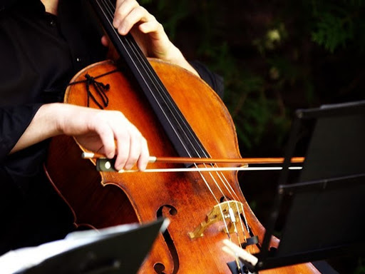 Organista matrimonio Piacenza - Thumbnail