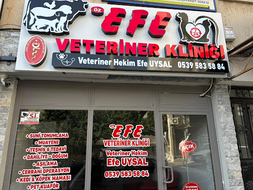 Öz Efe Veteriner Kliniği