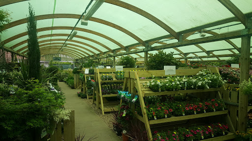 Ross Garden Store - Thumbnail