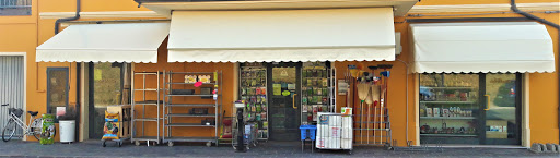 Dal Pastin - Visual