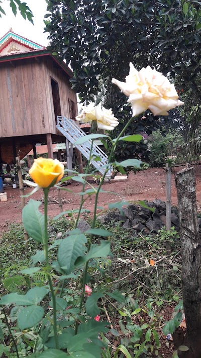 Photos of ភូមិខ្ទួយ