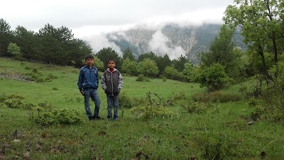Photos of Beypazarı Depelarkası Kayışın G&ouml;l