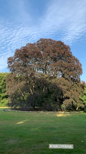 Beoordelingen van Park Zypendaal in Arnhem - Museum