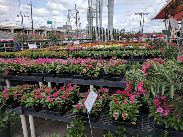 Houston Garden Centers