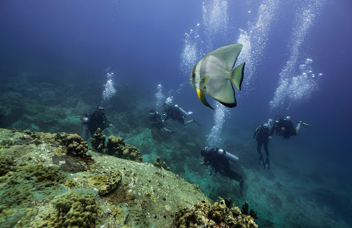 Waterspeak Private Charters & Scuba Diving