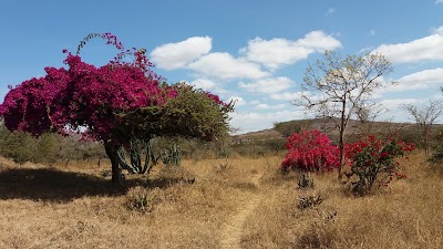 Photos of YWAM Athi River