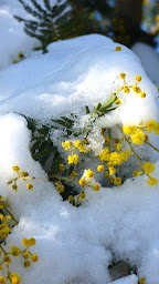 Photo n°5 de Co&Rance 22 à Évran (Association culturelle)