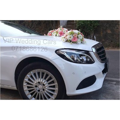 Photos of VIP WEDDING CARS