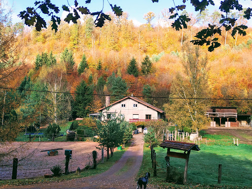 gîte equestre de la vallée à dos d ânes - Thumbnail