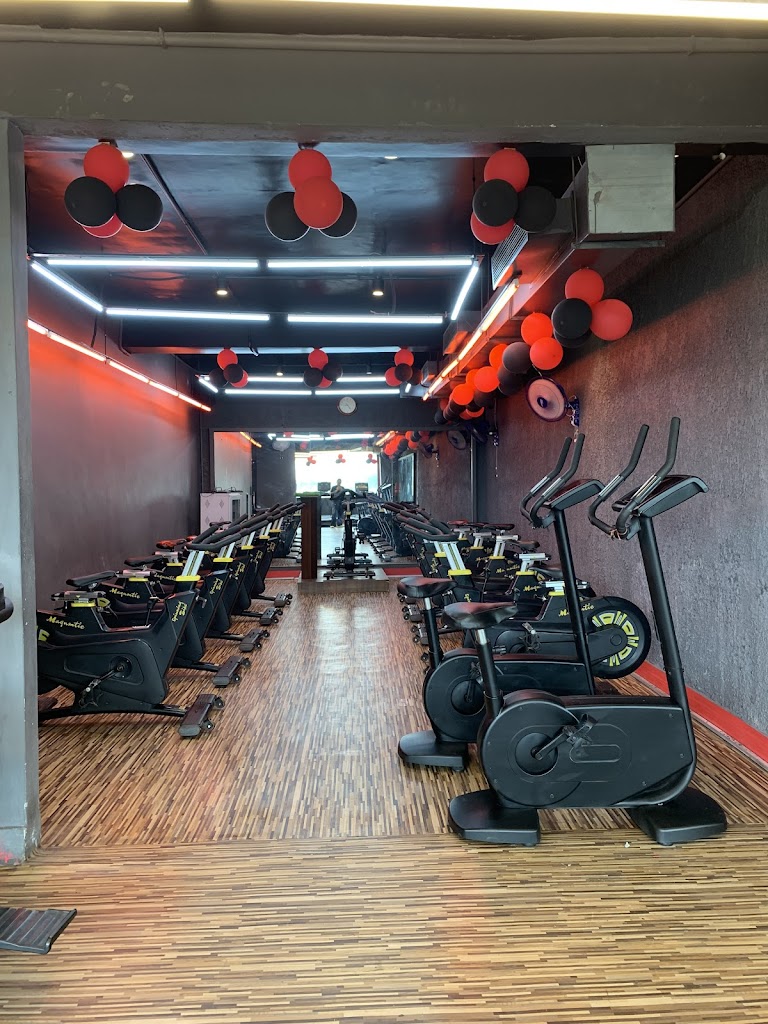 Fitlab Gym Spa
