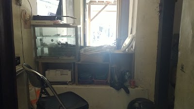 Photos of Gaung Guitar