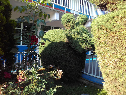Escuela Primaria Jesús García - Thumbnail