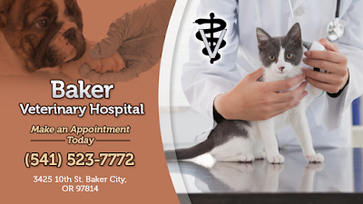 Baker Veterinary Hospital