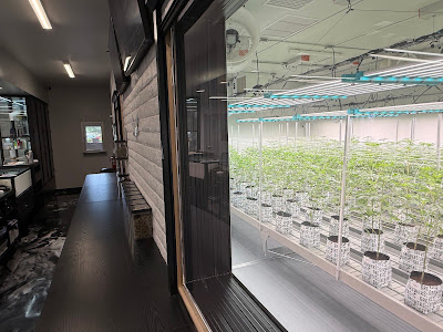 Photo of Green Matter Cannabis Company