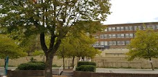 University Of Brighton brighton