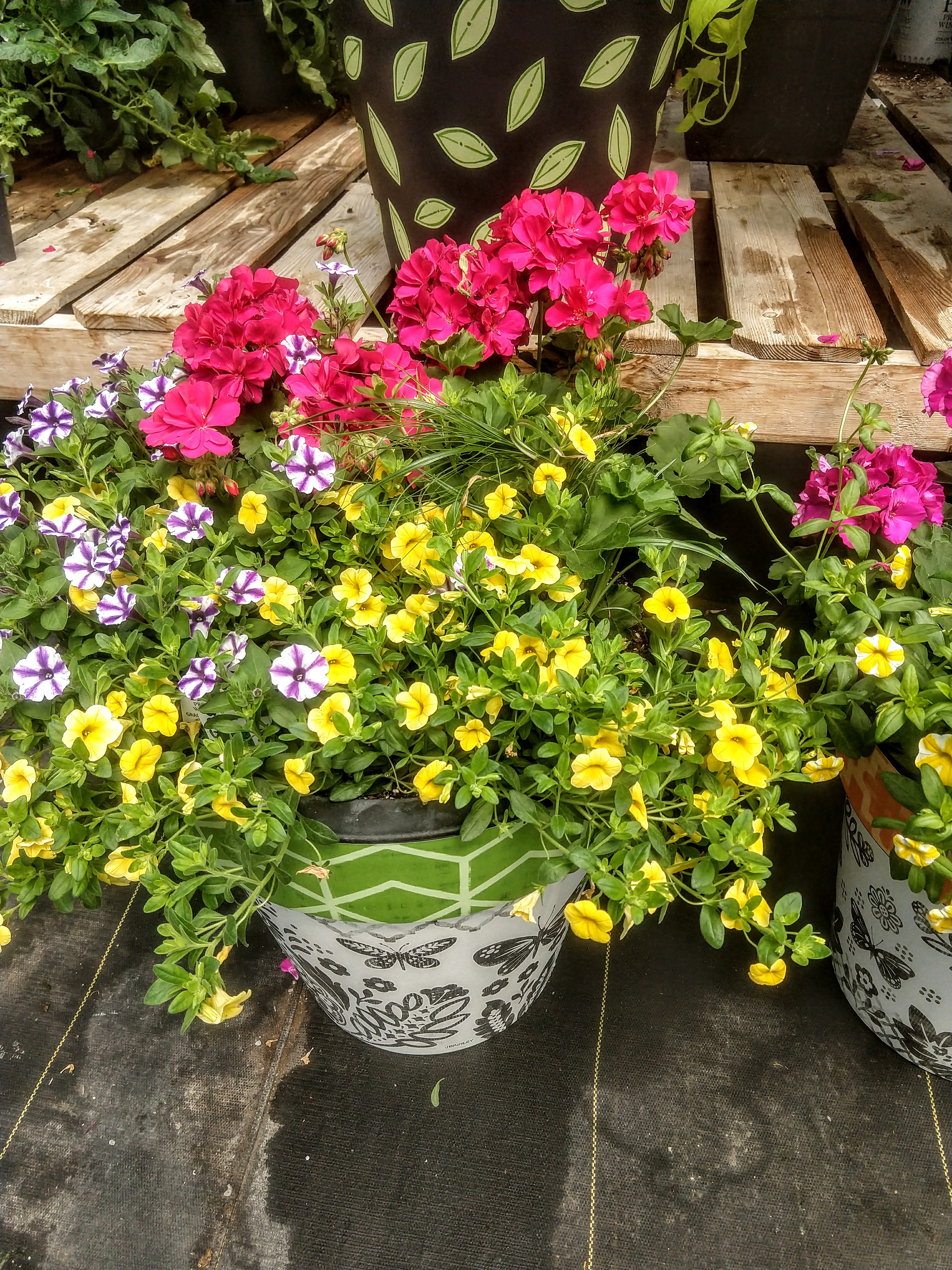 Sunny Acres Greenhouse LLC