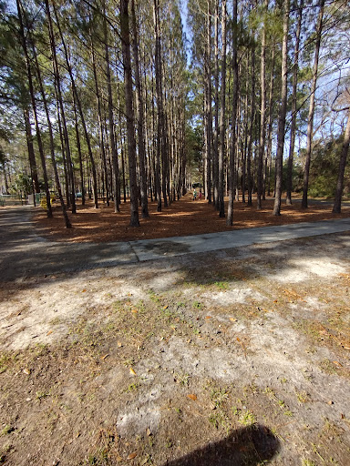 Windsor Neighborhood Park - Thumbnail