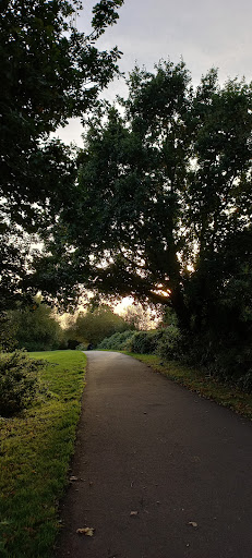 Mayflower Park - Thumbnail