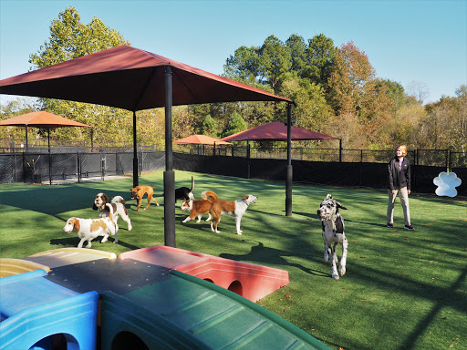 Pampered Pets Inn - Thumbnail