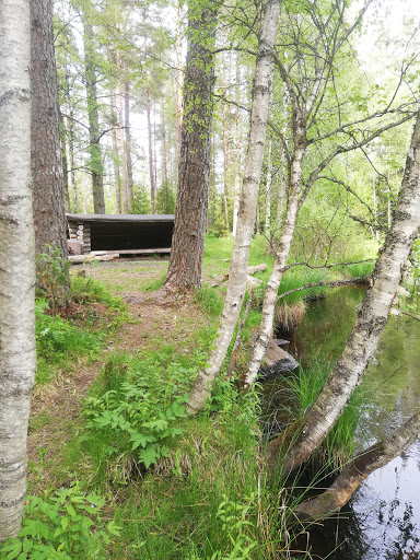 Östermoskogen - Visual
