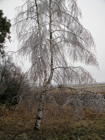 park