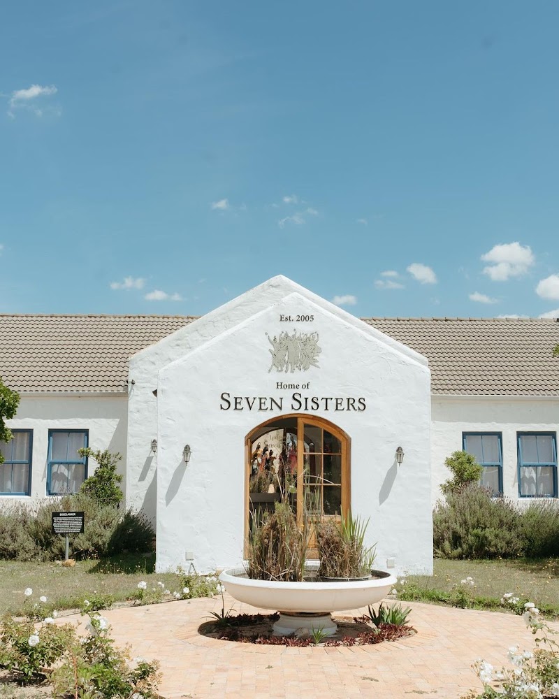 Seven Sisters Vineyards photo 3