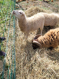 Photo n°12 de Gîtes Mas des Rochers à Le Beausset (Gîte)