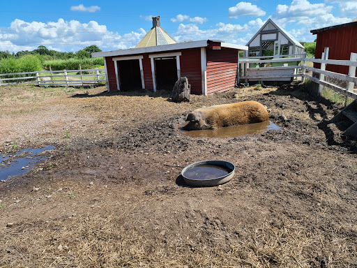 City farmhouse Olofstorp - Thumbnail