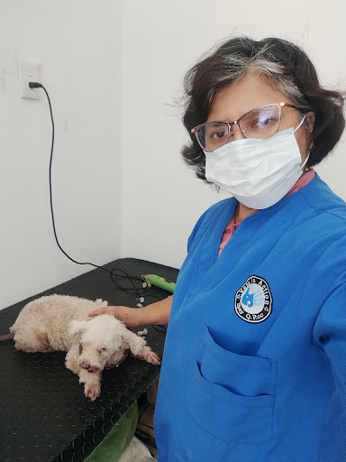 Veterinaria Zit Roo Leona Vicario