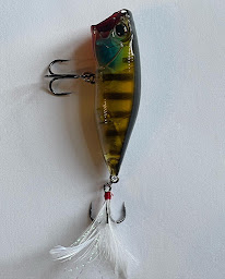 Photo n°13 de Foudepeche site Web à Serres (Service d'hébergement de site Web)