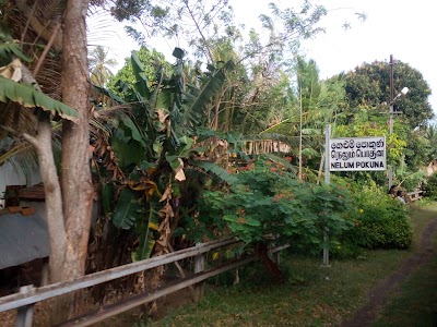 Photos of Nelumpokuna Railway Station