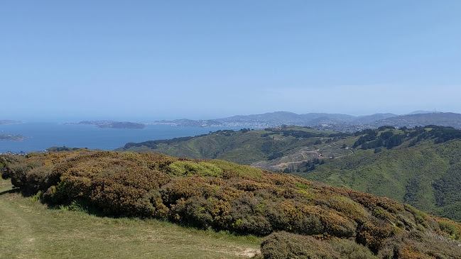 Belmont Regional Park Open Times