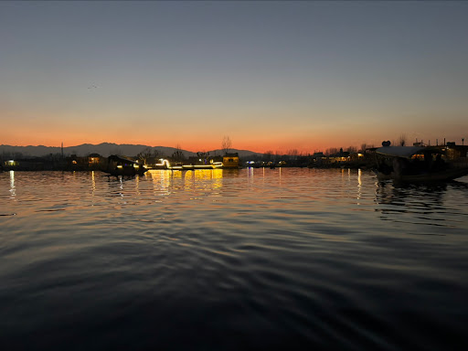 Gallery image 50