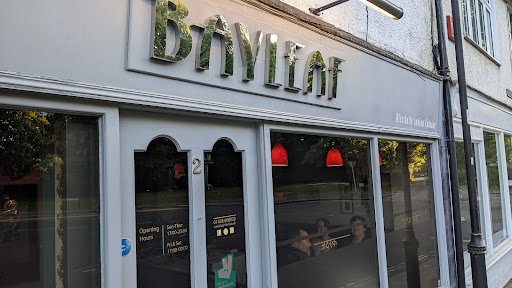 The Bay Leaf - Thumbnail