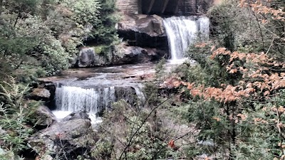 Photos of Fallingwater