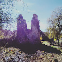 Photo n°19 de Château de Vaujours à Château-la-Vallière (Attraction touristique)