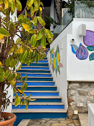 Photo n°47 de Restaurant La Pinède à Cap-d'Ail (Cave à vins)