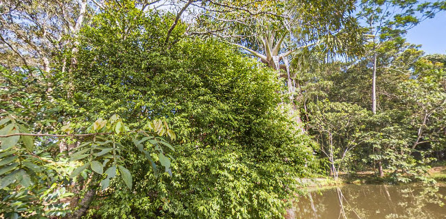 Tambo Ilusión hospedaje vegetariano