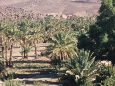 Photos of School Lamhamid