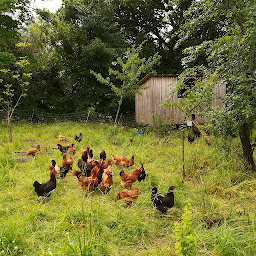 Photo n°3 de Ferme du Moulin de Rousset à Vaulry (Ferme bio)