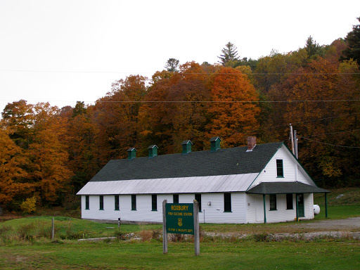 Fish Hatchery - Visual