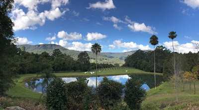 Photos of Yarrawa Estate