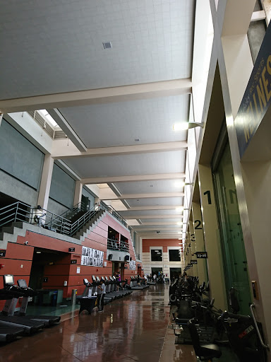 Hearst Gym Pool Gallery - United States