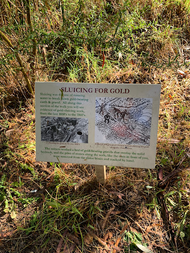 Canyon Walking Track Gallery - Australia