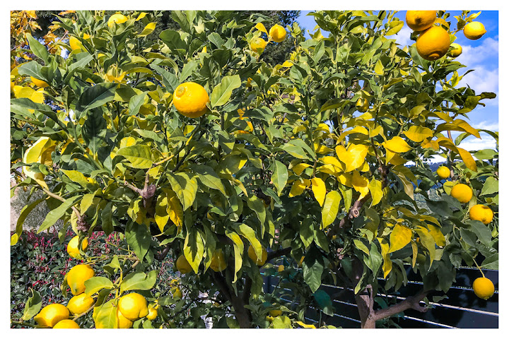 Hôtel Le Relais des Maures by null