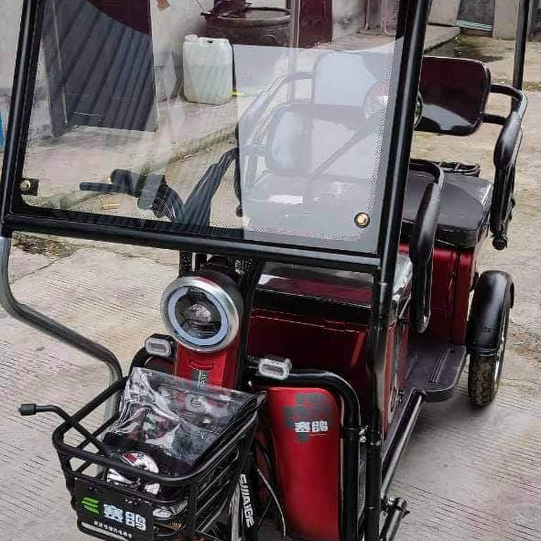 SAIGE EBIKE Electric Motor Store in Pasig
